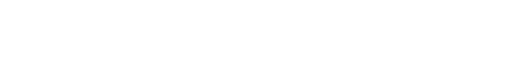 Divider website Falko en Femke